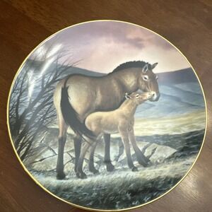 1991 WS GEORGE‎ Horse COLLECTORS PLATE 'PREZWALSKI'S HORSE' by Will Nelson